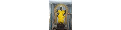 223. திருமுதுகுன்றம்